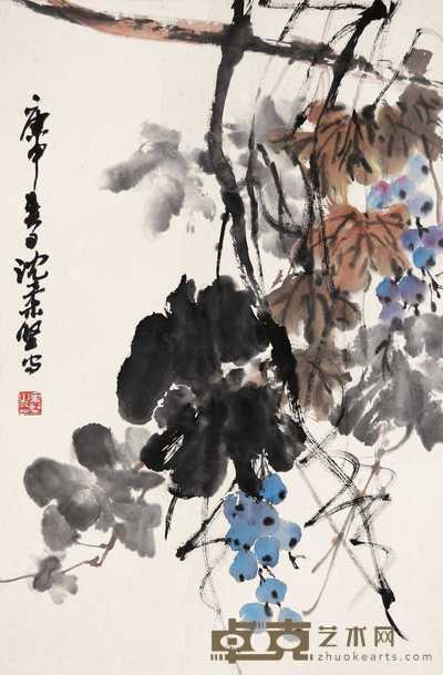 沈柔坚 庚申(1980年)作 葡萄 镜心 66×44cm
